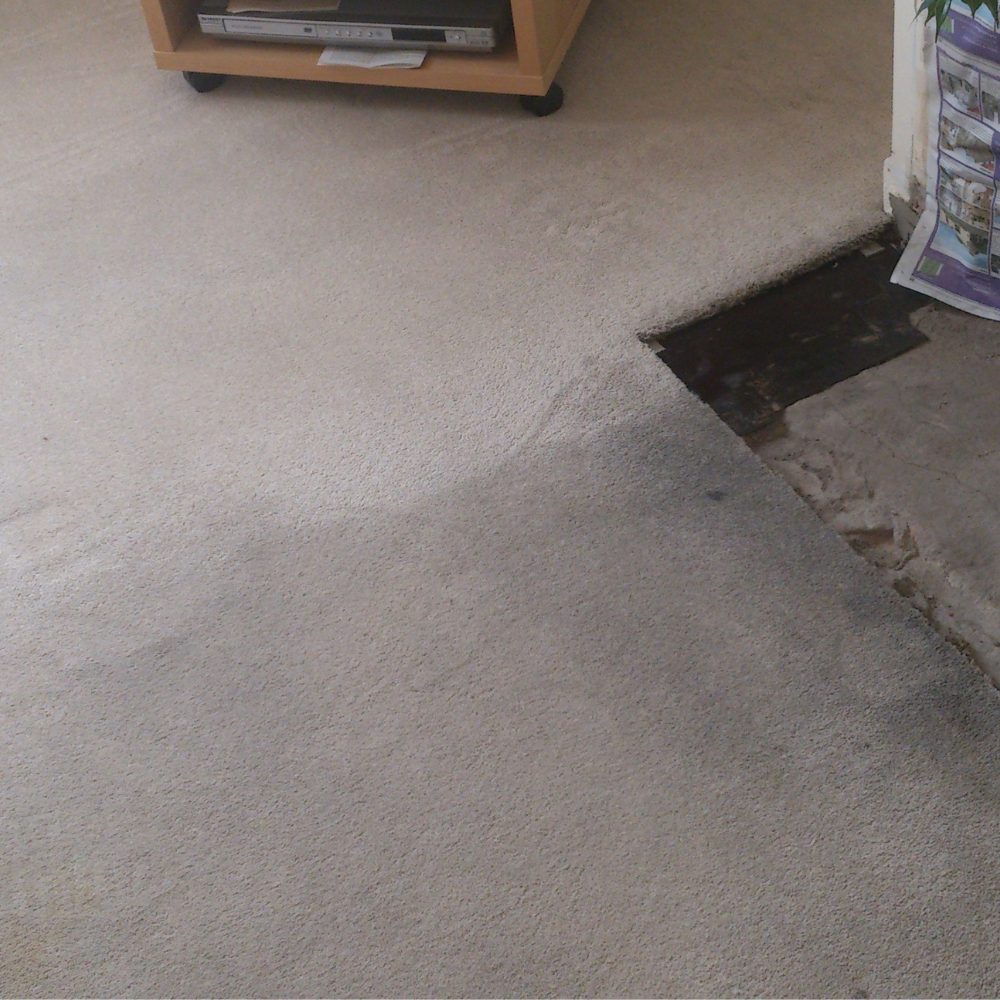 Professional Carpet Cleaning www.cleanrescue.uk