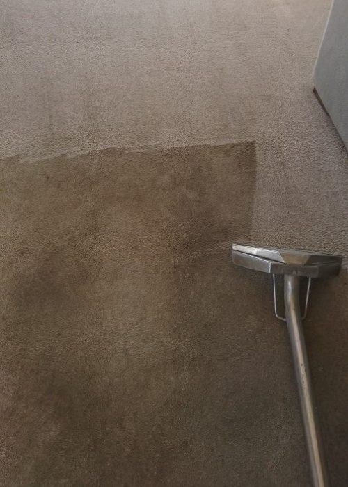 Untitled design (7)